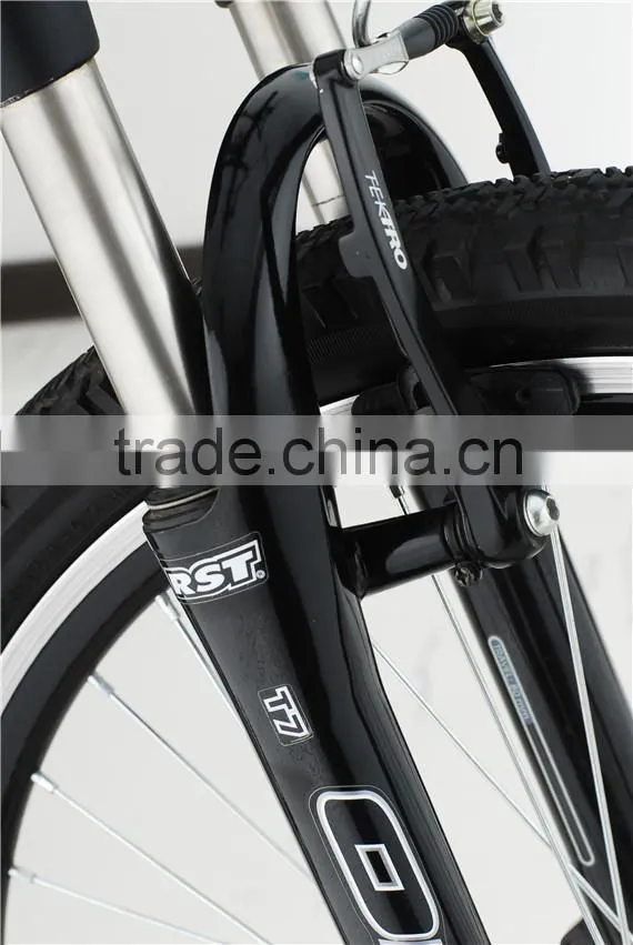 2013 germany fair popular electric bike best quality control