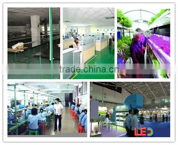 48w 300x1200m flat panel ceiling light
