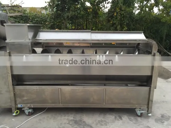 full automatic production line for frozen french fries