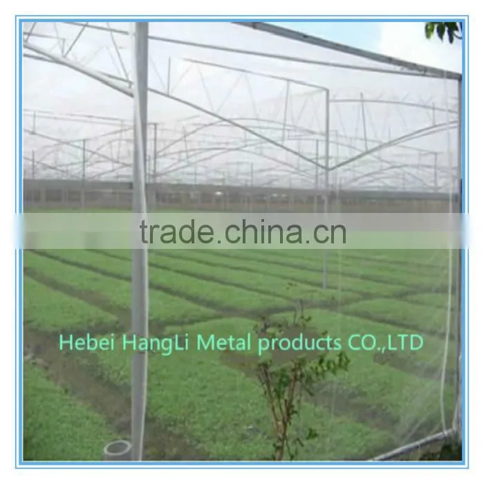 China factory price Stainless steel insect screen/windown screen/magic mesh