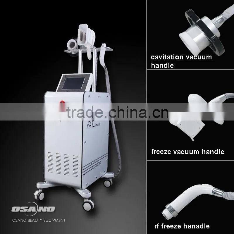 Portable Cryolipolyse Equipment Fat Freeze Machine Cryo Liposuction