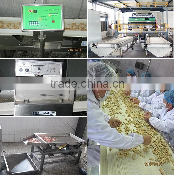 China Raw Peanuts For Sale
