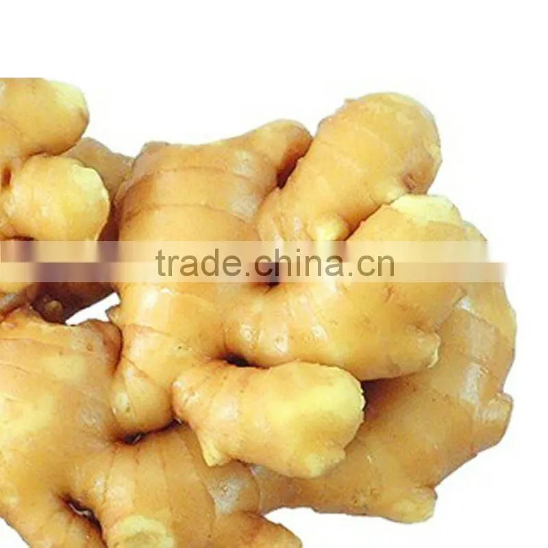 Fresh Vegetable(Garlic,ginger,onion,potato,carrot,beans)