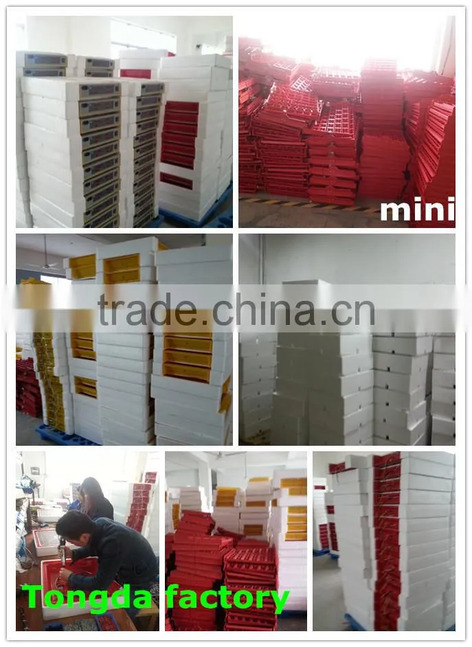 JN8-48 mini egg incubator hot sale