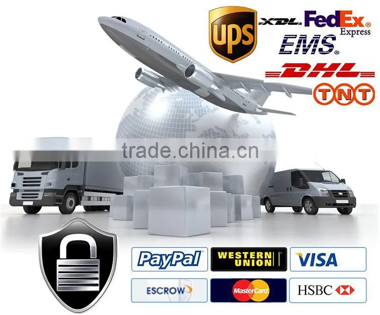 High Precision HSS Special Punch with 45 Degree Cutting edge for stamping Mold
