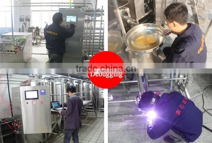Pasteurization Milk Production Line Plant