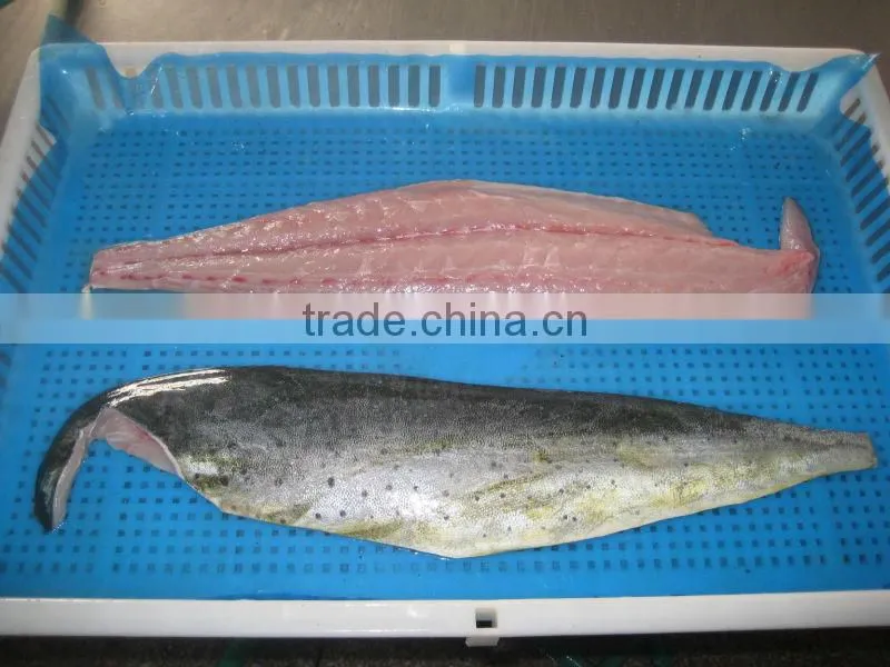 big size frozen mahi mahi fillet