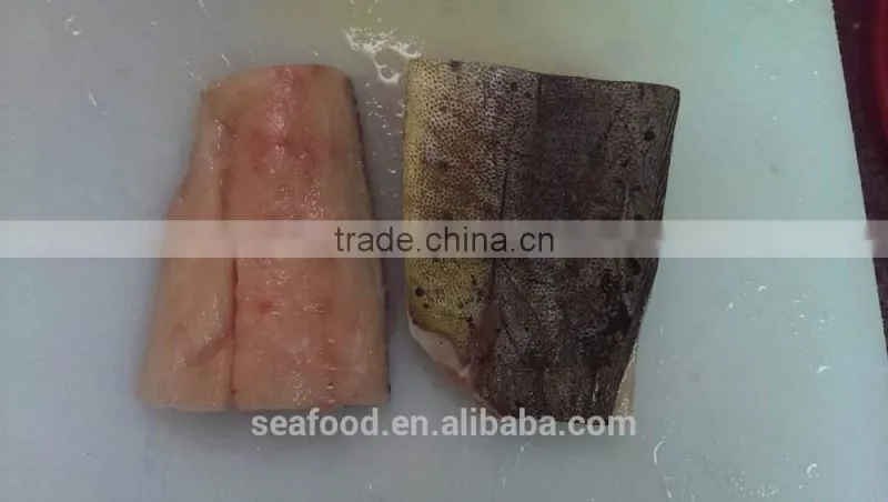 frozen mahi mahi portions wholesale frozen seafood coryphaena hippurus