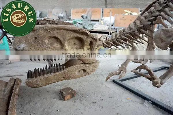 Lisaurus-LA Artificial dinosaur skull for theme park