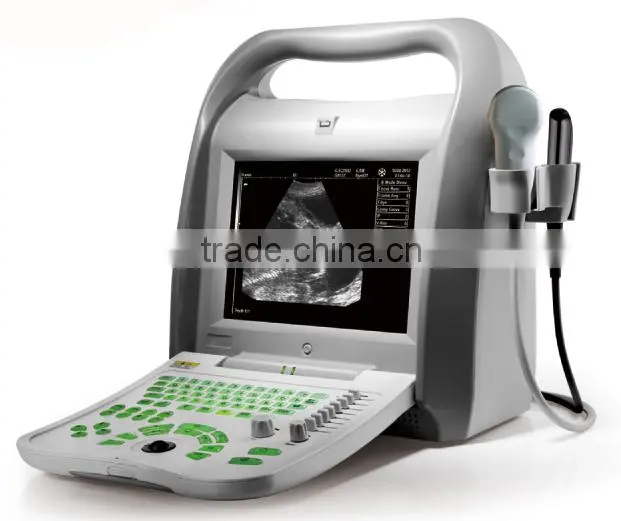 FN550V HOT selling full digital B model ultrasound veterinary portable