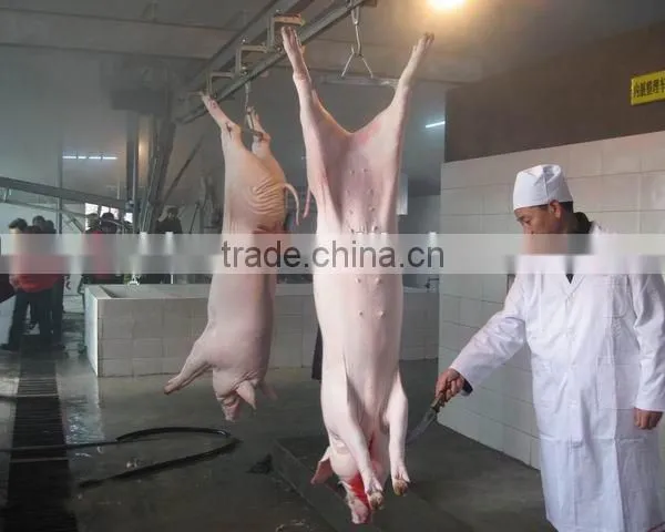 widely used pig slaughtering equipment