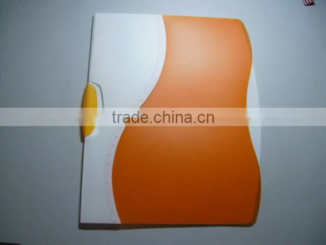 eco-friendly A4 plastic pp knife shape folder report cover file