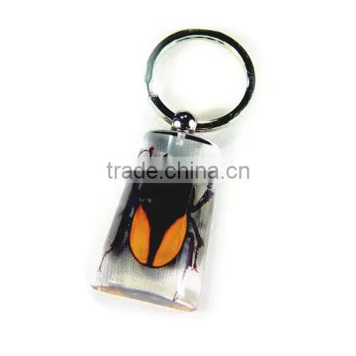 wholesale real flower and insect keychain promotional