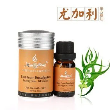 10-30L Cardamom Essential Oil Extraction Distillation Equipment