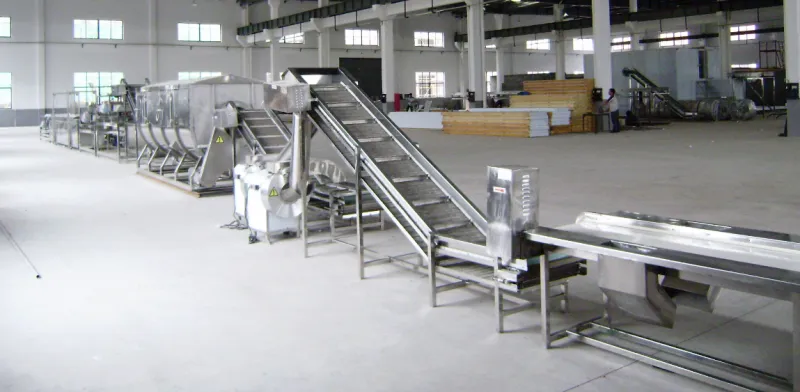 Automatic Frozen Fruit & Vegetable Processing Line
