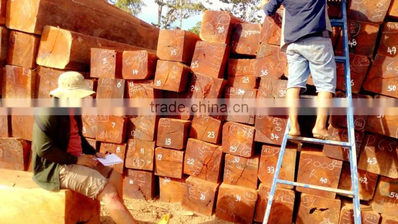 round logs Cam xe Pyinkado Cambodia wood