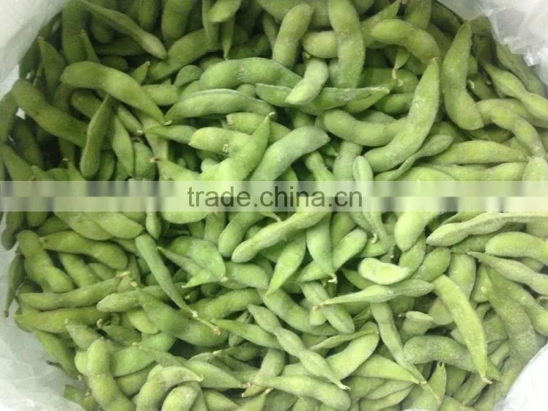frozen fresh soybean