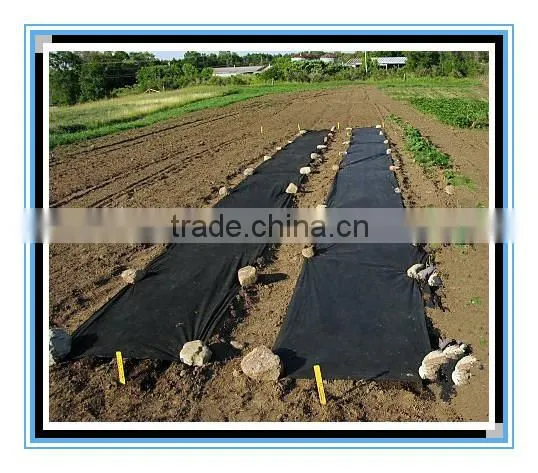 Disposable pure white sheets