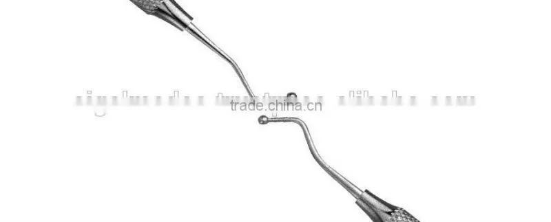 Burnisher Dental