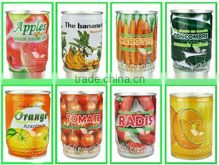 flower can,can flower,flower tin