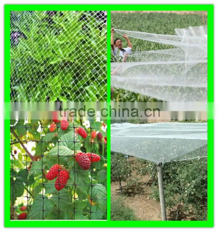 supply vineyard anti bird net/bird capture nets with low price
