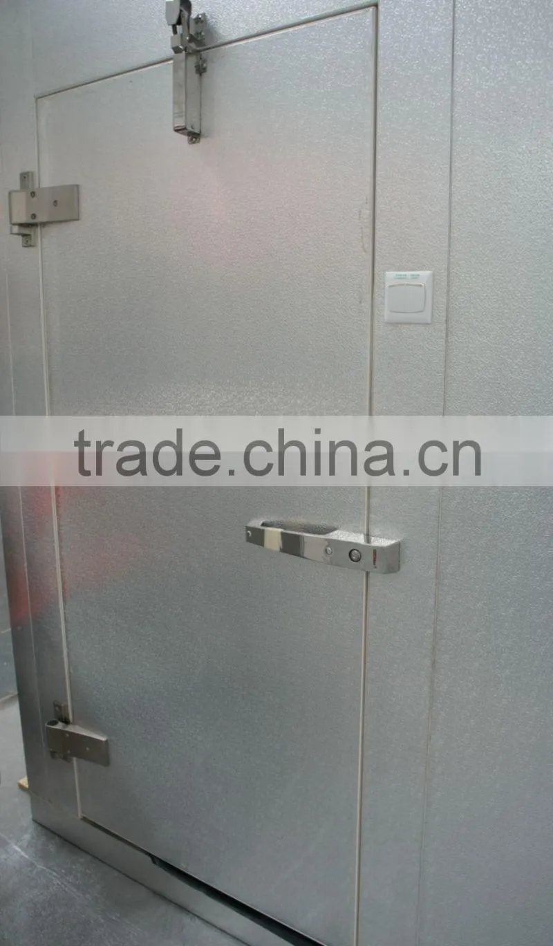 High quality hinged cold room door / Polyurethane insulation cold storage door