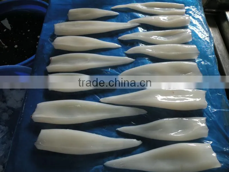 NEEDLE SQUID WHOLE