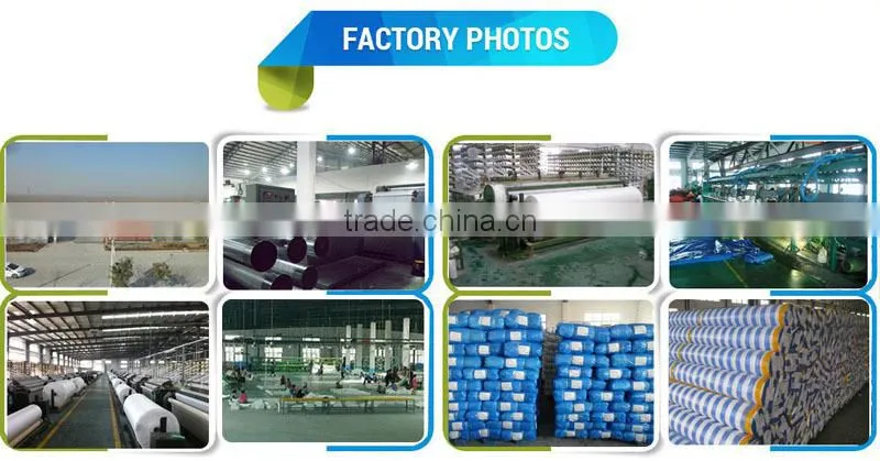 Promotional Inflatable Outdoor Tent, Camping Tent for Sale