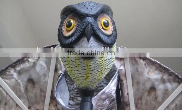 prowler owl