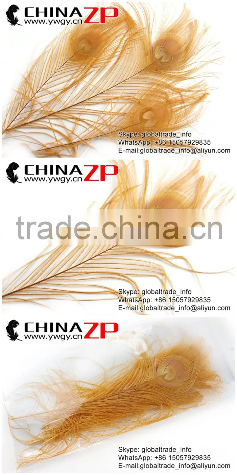 ZPDECOR Crafts Factory Leading Supplier Wholesale Cheap Full Eye Dyed Gold Peacock Tail Feathers