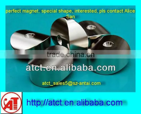 NdFeB Special shaped motor magnet