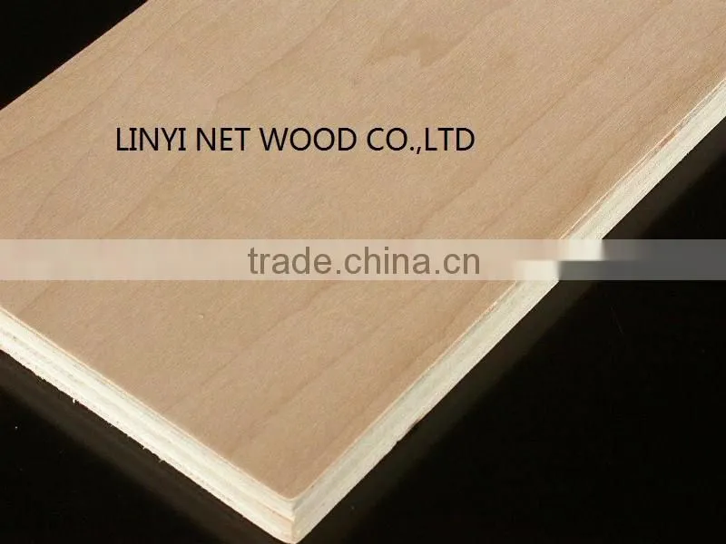 best prices 4*8 okume door size commercial plywood