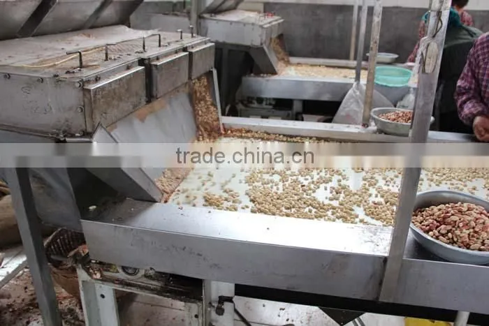 new crop Chinese blanched peanut kernels