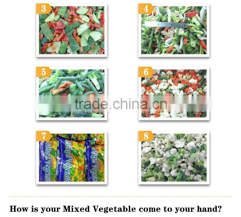 New crop good taste frozen vegetable mixture