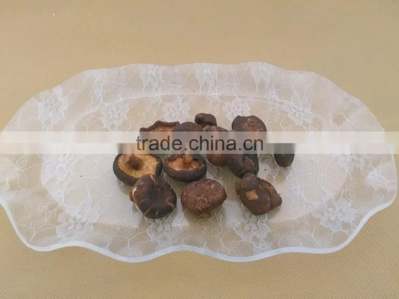 vacuum fried shiitake chips