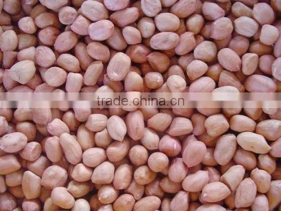 Shandong peanut kernels luhua 24/28