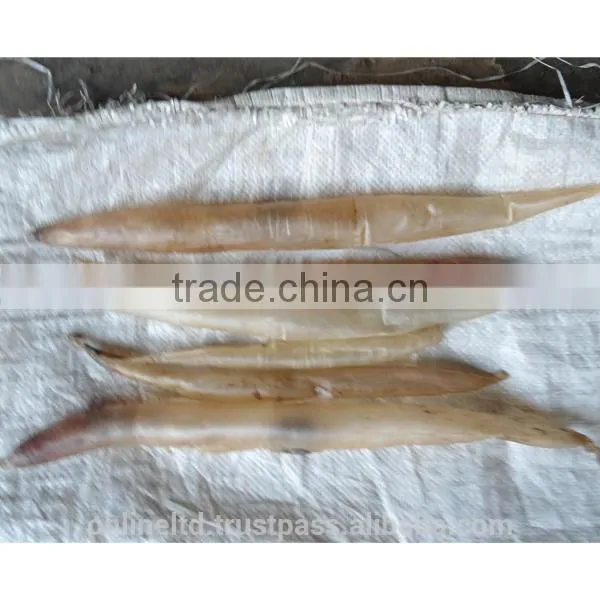 Big Quantity Export Dried Fish Maws from Bangladesh