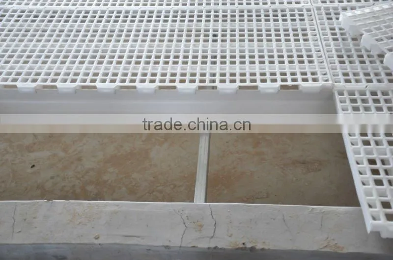 poultry plastic chicken floor
