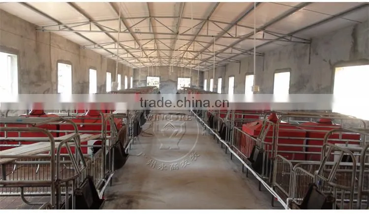 Automatic pig feeding system for fattening pig