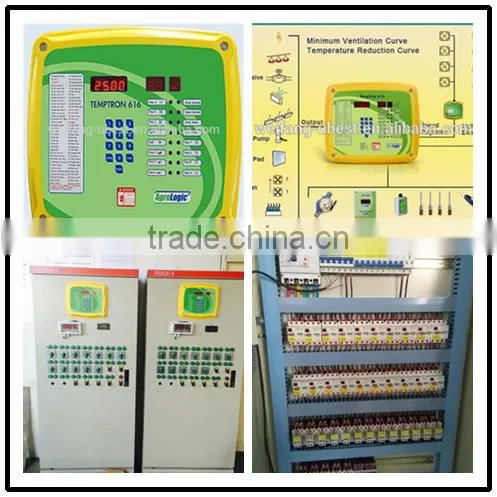 automatic rearing breeders chicken farm equipment