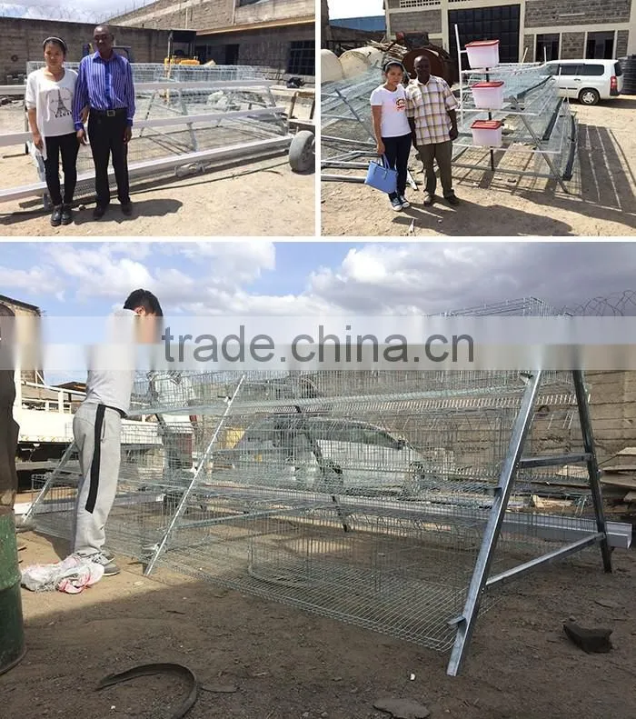 TA NO.1 factory kenya poultry farm