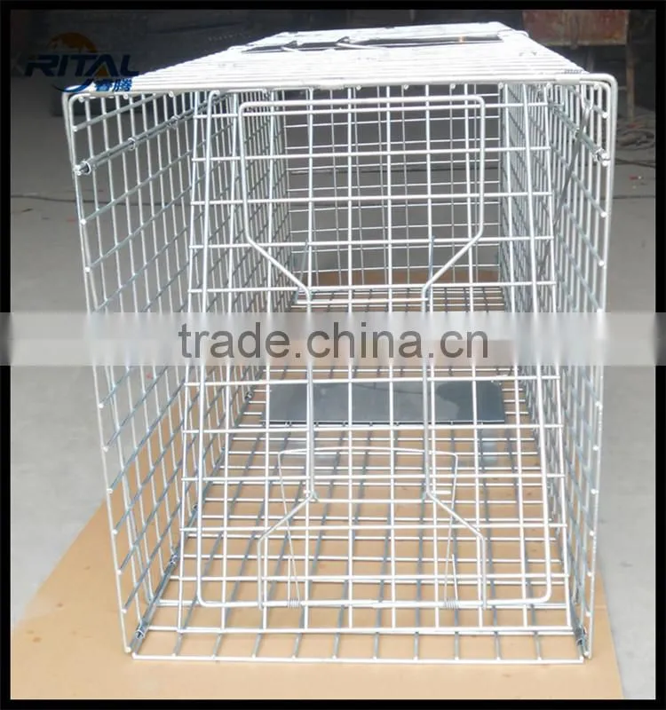 Live Trap Cage,Fox Trap Cage,Animal Trap cage,mouse trap cage