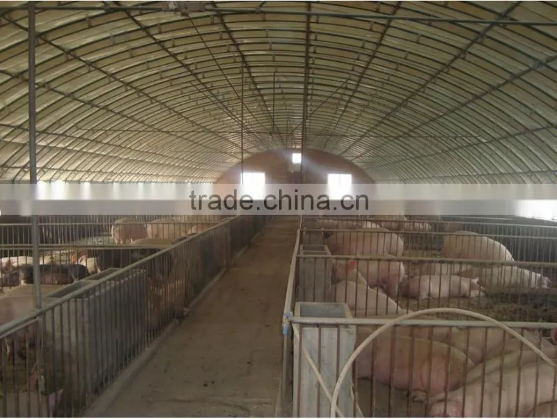 Large Multi-span pig greenhouse , pig house , fiberglass shed