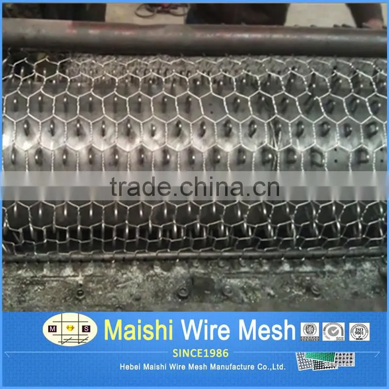 (real factory )Galvanized hexagonal wire netting with ISO9001 system
