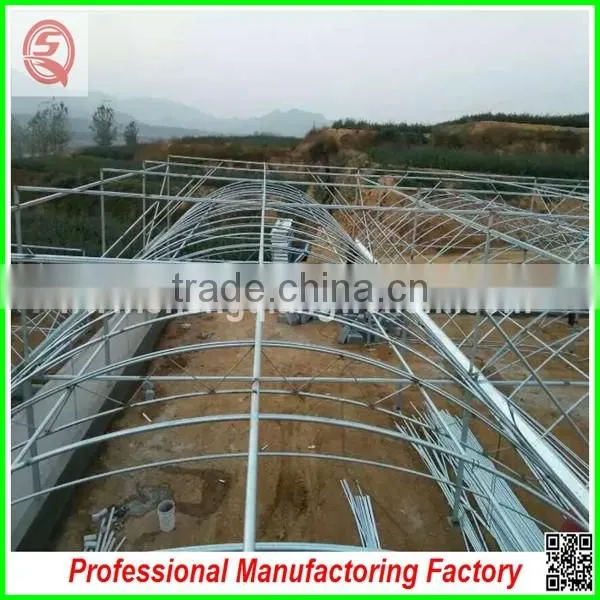 Hot sale 9.6m multi-span agricultural plastic film greenhouse with cheap price