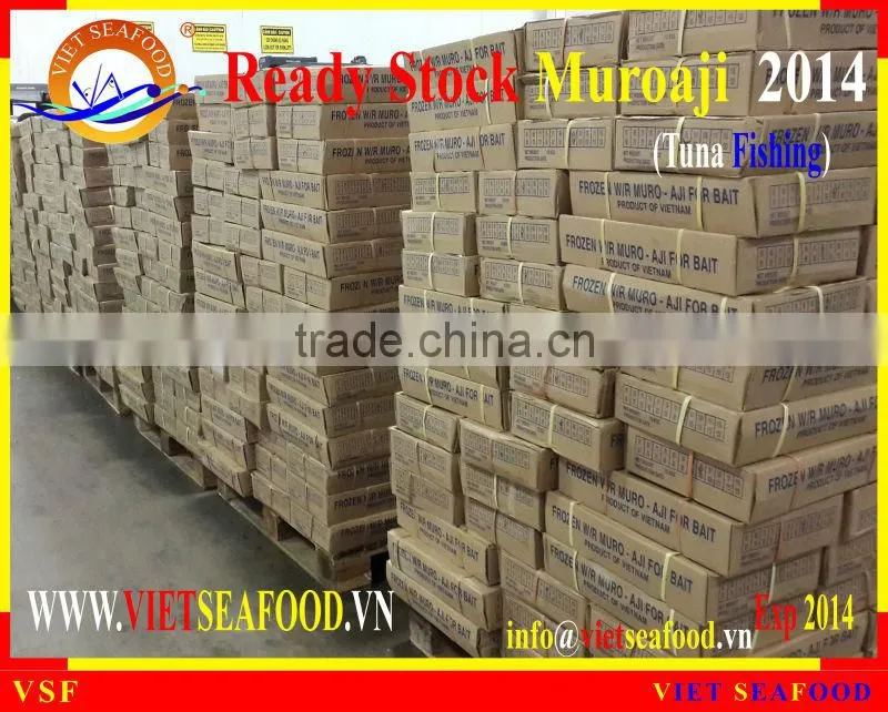 READY STOCK FOR SUPPLY MUROAJI FOR TUNA BAIT