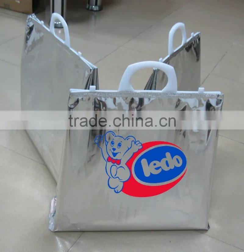 Thermal Hot and Cooler Bag
