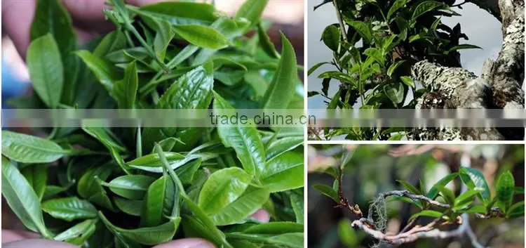 Yunnan Spring Organic Weight Loss PuEr Tea