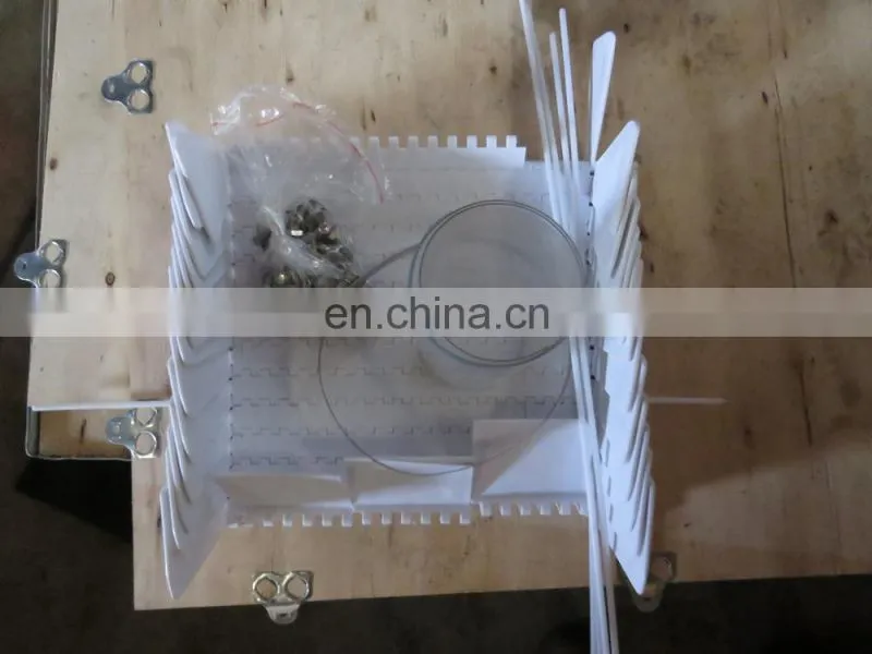Customized Hopper and Discharge Chute Inclined Belt Conveyor