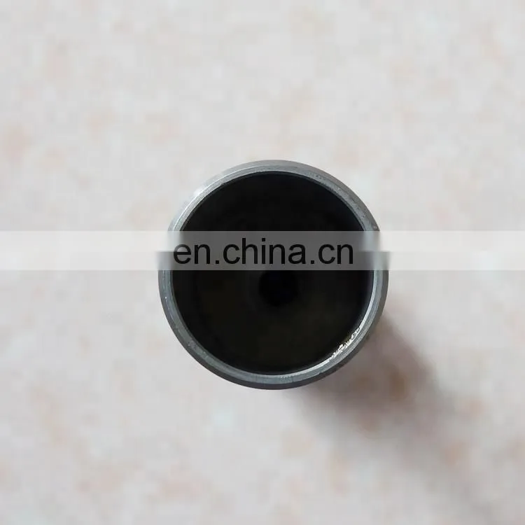 Chongqing Supplier Diesel Engine Pressure Regulator Plunger 3068979